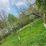 U Strazaka Farm stay *