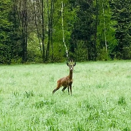 Farma U Strazaka Świeradów-Zdrój