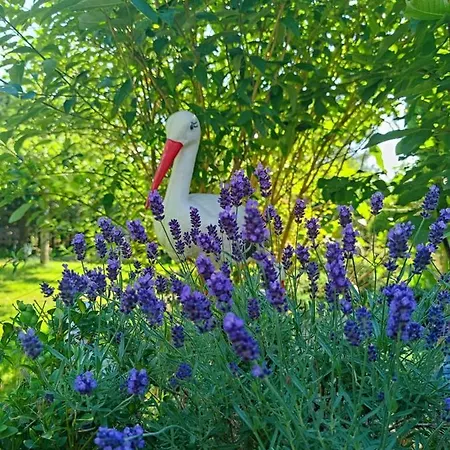 U Strazaka * Świeradów-Zdrój