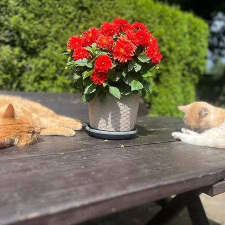 Farma U Strazaka Świeradów-Zdrój