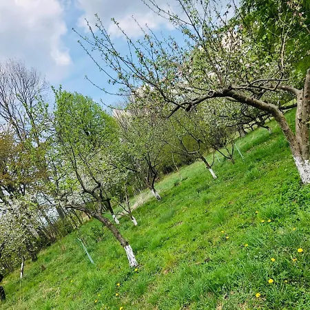U Strazaka Farmház *