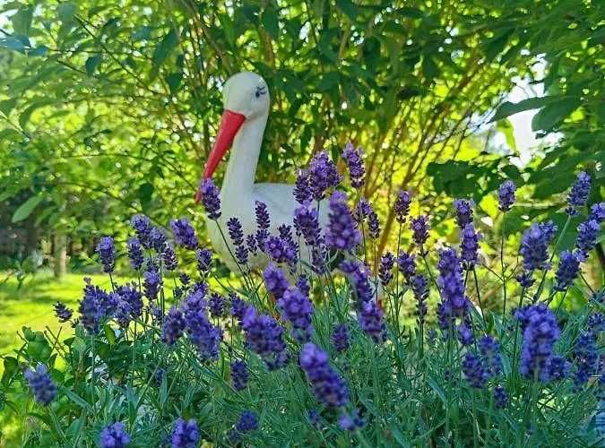 U Strażaka * Świeradów-Zdrój