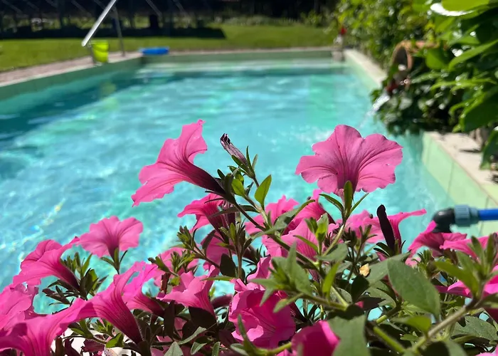 U Strazaka Farm stay *