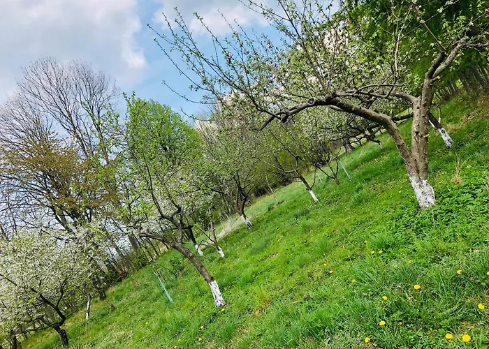 U Strazaka Farm stay *