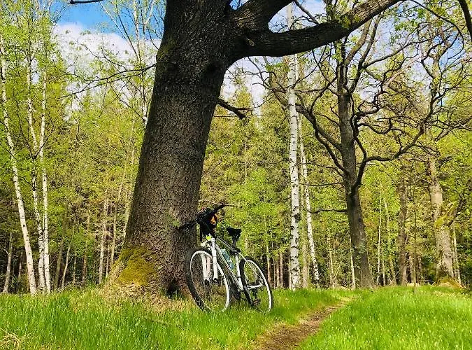 U Strażaka Gospodarstwo agroturystyczne